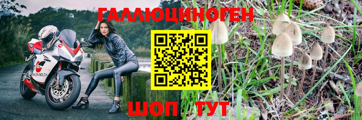 Галлюциногенные грибы Psilocybe  Вход с VPN  Миллерово 
